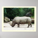Suche nach rhino poster Tierwelt