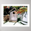 Suche nach vogelhaus poster Blume