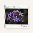 Suche nach blaue blumen notizbuch Pflanze