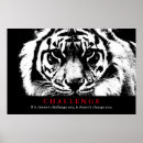 Recherche de tigres blancs posters Pour elle