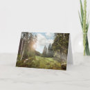 Suche nach sunbeam karten Nature