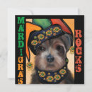 Recherche de gitans invitations Yorkie