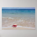 Suche nach bahamas strand poster Ozean