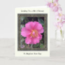 Suche nach kamelien karten Rosa