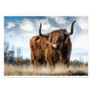 Suche nach moo poster Niedlich