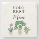 Recherche de plantes dessous de verres Mother