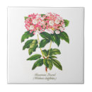 Suche nach abschluss fliesen Elegant