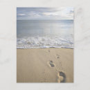 Suche nach cape cod massachusetts poster Urlaub