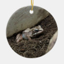 Suche nach frosch ornamente Amphibie