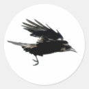 Recherche de vissers autocollants Corneille