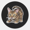 Suche nach bengalisch aufkleber Haustier