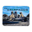 Suche nach galapagos magnete Tierwelt