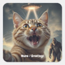 Suche nach ufo aufkleber Katze