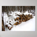 Recherche de journaux posters Neige