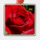 Suche nach schöne blume ornamente Rot