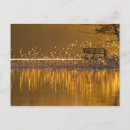 Suche nach goldenes licht postkarten Baum