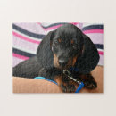 Suche nach dachshund puzzle Süß