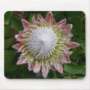 Suche nach große blumen mousepads Rosa