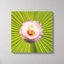 Suche nach fantastisch leinwandbilder Blume