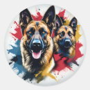 Recherche de malinois autocollants Dog