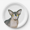 Recherche de minou de ninja Animal