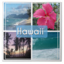 Recherche de hawaï carreaux Palmiers