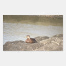 Recherche de colle autocollants Animaux