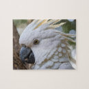 Recherche de perroquets sauvages puzzles Oiseau