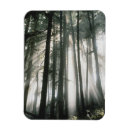 Recherche de rayon de soleil magnets Tronc d'arbre