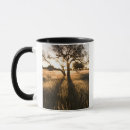 Recherche de gallo tasses Champ