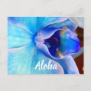 Recherche de aloha fleurs cartes postales Orchidée