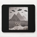 Suche nach ufos mousepads Kätzchen