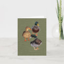 Suche nach lustige enten karten Stockenten