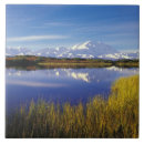 Suche nach denali fliesen Usa