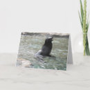 Suche nach lachend karten Foto