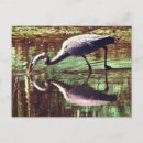 Recherche de grenouille bleue cartes postales Grenouilles