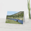 Suche nach yellowstone nationalpark karten Büffel