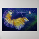 Recherche de betta posters Poisson combattant siamais