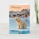 Suche nach eisbären karten Arktisch
