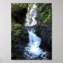 Suche nach tropical rainforest poster Paradise