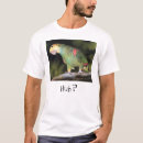 Suche nach parot Papagei