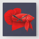 Recherche de splendens de betta art Eau douce