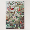 Recherche de oiseaux vintages puzzles Peinture