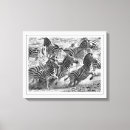Recherche de zèbres art Moderne