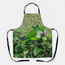 Suche nach grüner papagei schürzen Vogelvogel