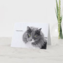 Recherche de lit mort cartes postales Mort du chat
