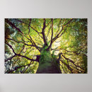 Suche nach die republik irland poster Moos