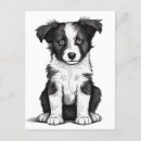 Suche nach border collie postkarten Welpe