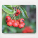 Suche nach rote beeren mousepads Natur