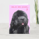 Suche nach newfy Neufundland